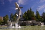 Photo: Atlantic Salmon Monument Campbellton New Brunswick