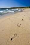 Photo: Beach Footprints Pancake Bay Lake Superior Ontario