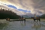 Photo: Blaeberry Valley Horse Riding Golden