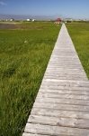 Photo: Board Walk Newfoundland