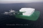 Photo: Breaking Iceberg Aerial Southern Labrador