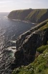 Photo: Cape St Marys Cliffs Newfoundland