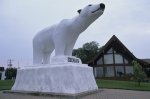 Photo: Cochrane Ontario Polar Bear