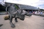 Photo: Dinosaur Museum Alberta