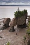 Photo: Flowerpot Hopewell Rocks Bay Of Fundy