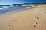 Photo: Footprints Sandy Beach Pancake Bay Ontario