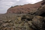 Photo: Fossil Cliffs Joggins Nova Scotia