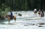 Photo: Horses Riding Blaeberry Valley