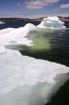 Photo: Ice Melt St Anthony Newfoundland