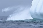 Photo: Floating Icebergs Photos