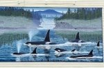 Photo: Killer Whales Mural Chemainus