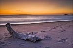 Photo: Lake Superior Beach Driftwood Ontario Canada