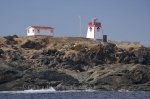 Photo: Lighthouse Buildings Newfoundland