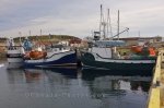Photo: Loaded Fishing Boats Conche Harbour Newfoundland