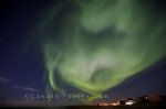 Photo: Northern Lights Picture Churchill Manitoba