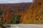 Photo: Ontario Highway Fall Colours Algonquin Provincial Park