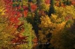 Photo: Parc National Du Mont Tremblant Fall Colors Quebec Canada