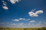 Photo: Prairie Landscape Summer Day Sceptre Saskatchewan