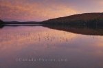 Photo: Rock Lake Sunset Algonquin Provincial Park