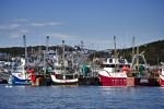 Photo: St Anthony Shrimp Fishing Boats Newfoundland