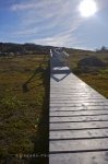 Photo: Tracey Hill Walking Trail Boardwalk Red Bay Labrador