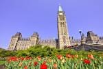 Photo: Tulips Parliament Hill Government Buildings City of Ottawa