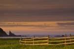 Photo: Wooden Fence Coastline Sunset Newfoundland
