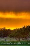 Photo: Yellow Sunset Sky With Storm Clouds Winnipeg City Manitoba