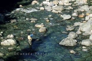Fly fishing on the West Coast of Vancouver Island, British Columbia, Canada, is amongst the best anywhere in the world.