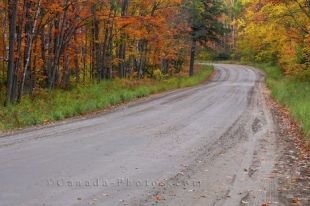 Follow the gravel road amongst the Autumn forest colours to reach Rock Lake in Algonquin Provincial Park in Ontario, Canada.