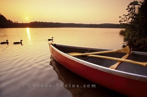 Photo: Canoeing Algonquin Provincial Park