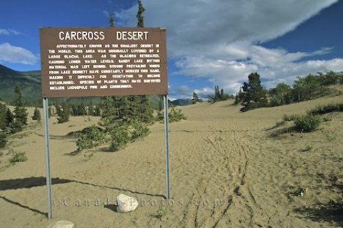 Photo: Carcross Desert Yukon