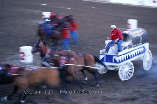 Photo: Chuck Wagon Race Calgary