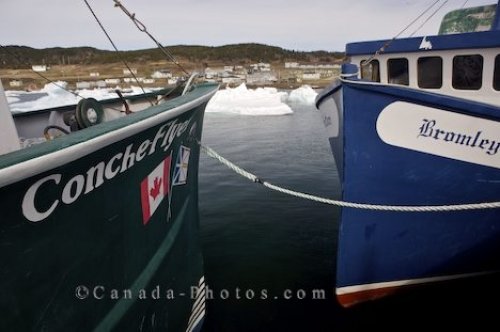 Photo: Crab Fishing Boats Conche Harbour Newfoundland