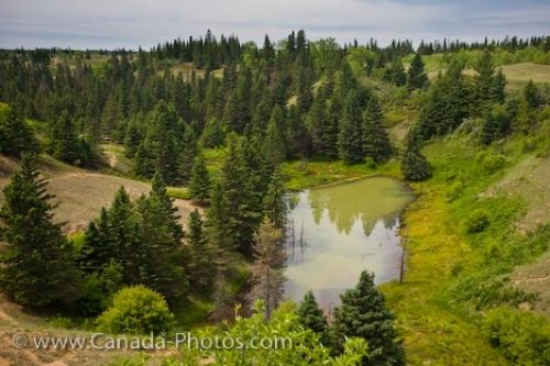 Photo: Devils Punch Bowl Scenery Spruce Woods Provincial Park Manitoba