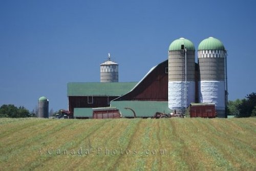 Photo: Farmland Ontario