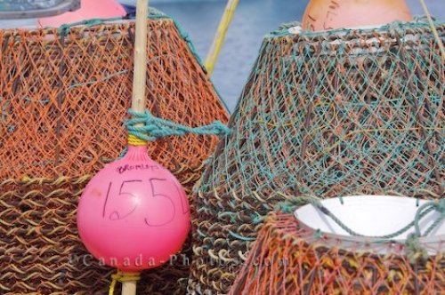 Photo: Fishing Boat Crab Pots Conche Harbour Newfoundland
