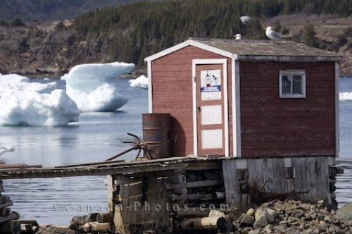 Photo: Fishing Stage Newfoundland