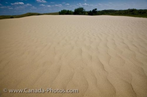 Photo: Great Sand Hills Patterns Sceptre Saskatchewan Canada