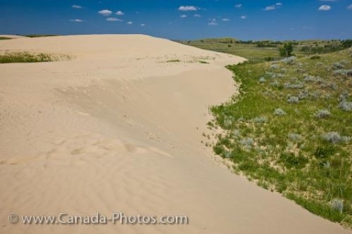 Photo: Great Sand Hills Sand Dunes Saskatchewan