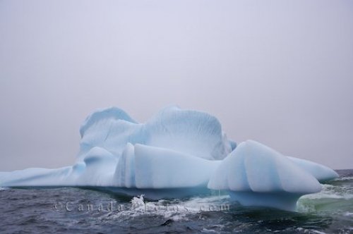 Photo: Grounded Iceberg Great Caribou Island Southern Labrador