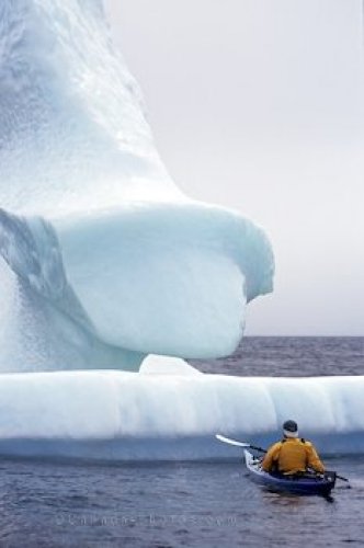 Photo: Iceberg Kayaking Newfoundland