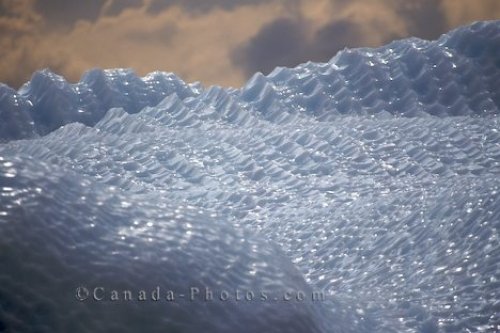 Photo: Icebergs Ice Details