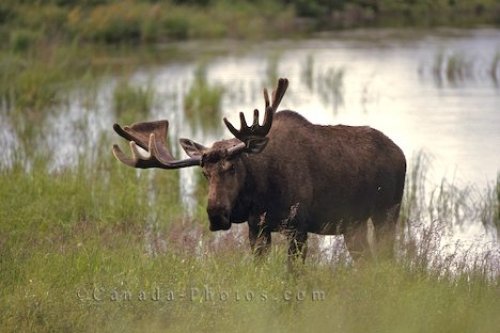 Photo: Lake Moose Ontario