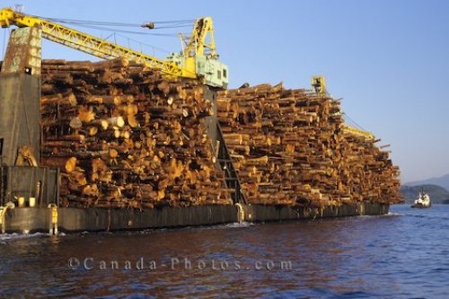 Photo: Log Barge British Columbia