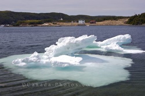 Photo: Melting Pack Ice St Lunaire Griquet Newfoundland