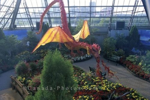 Photo: Muttart Conservatory Dragon