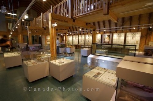 Photo: Exhibits Newfoundland Insectarium Butterfly Pavilion