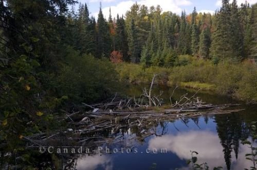 Photo: Oxtongue River Algonquin Provincial Park