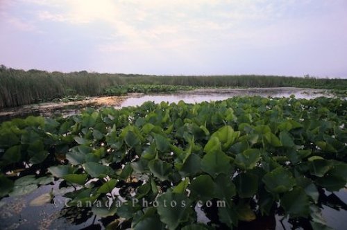 Photo: Point Pelee National Park Ontario